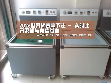 世界杯下注案例展示二