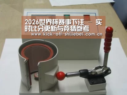 世界杯下注案例展示六